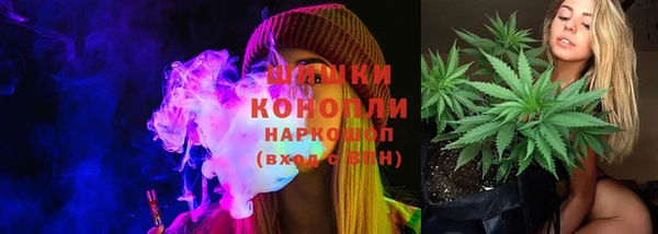 ПСИЛОЦИБИНОВЫЕ ГРИБЫ Белокуриха