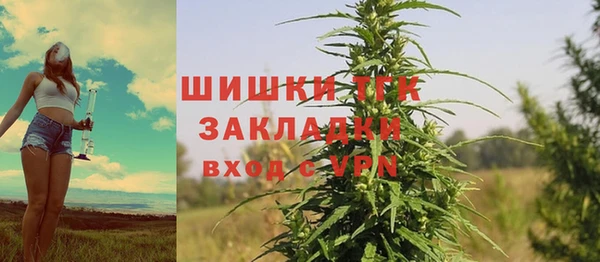 PSILOCYBIN Беломорск