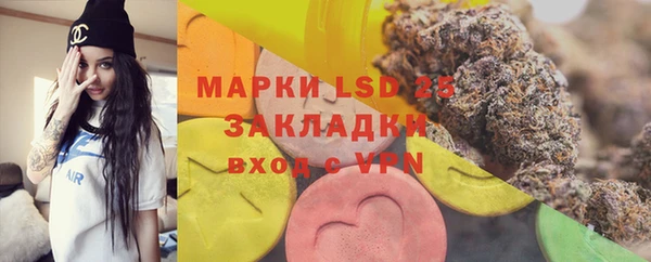 ПСИЛОЦИБИНОВЫЕ ГРИБЫ Белокуриха